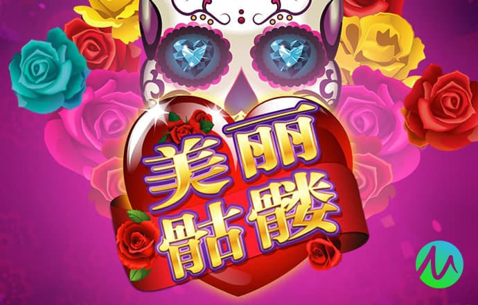 55234.77官网进入